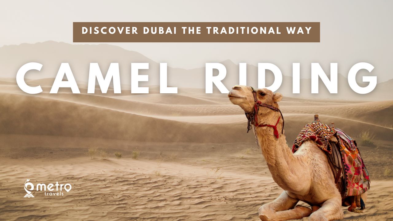 camel riding - desert safari tour