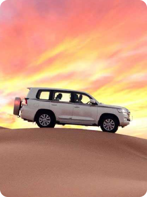 Desert Safari