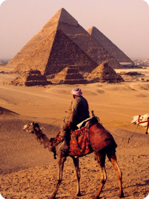 Explore History