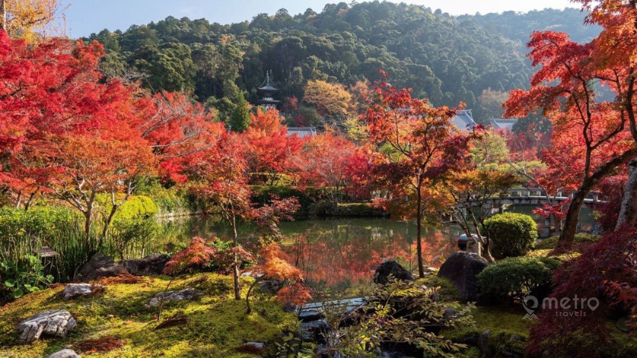 Japanese Garden - Places to See in Tashkent