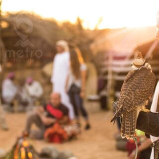 morning desert safari dubai premium package