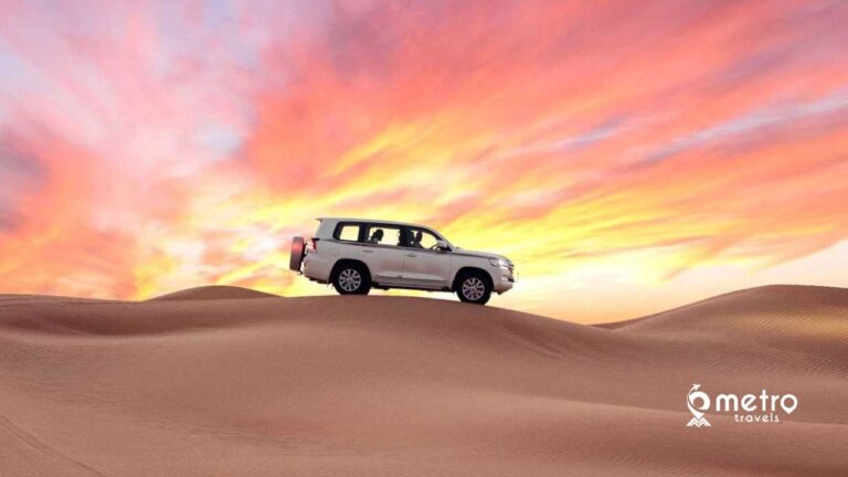 premium desert safari dubai