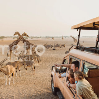 sir bani yas island tour package