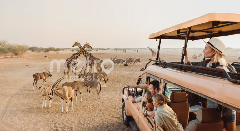 sir bani yas island tour package